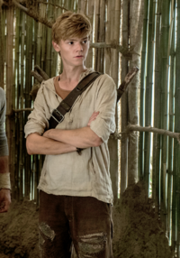 Fichier:Newt TMR.png