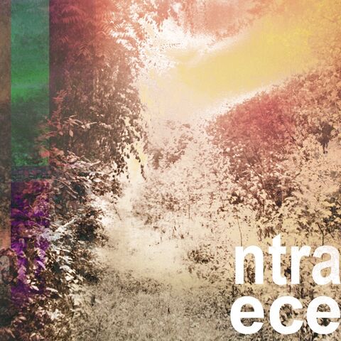 File:Ntraece fall.jpg