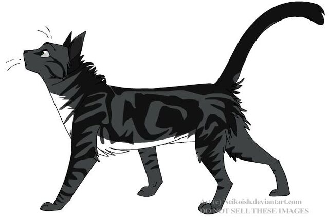 File:Ashpaw.jpg