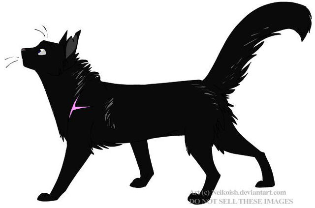 File:Shallowstar.jpg