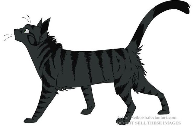 File:Nightshade.jpg