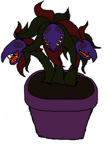Floudra