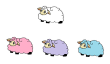 Candysheep