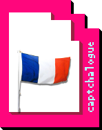 Frenchflag