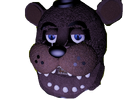 Oie transparent (1)