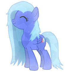 Crystal Pony Water Wings