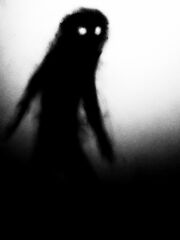 Shadow2