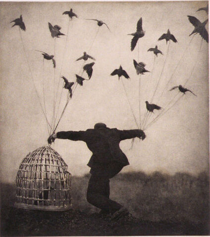 File:Cage-crows-doves-flying-flying-man-Favim.com-163505.jpg