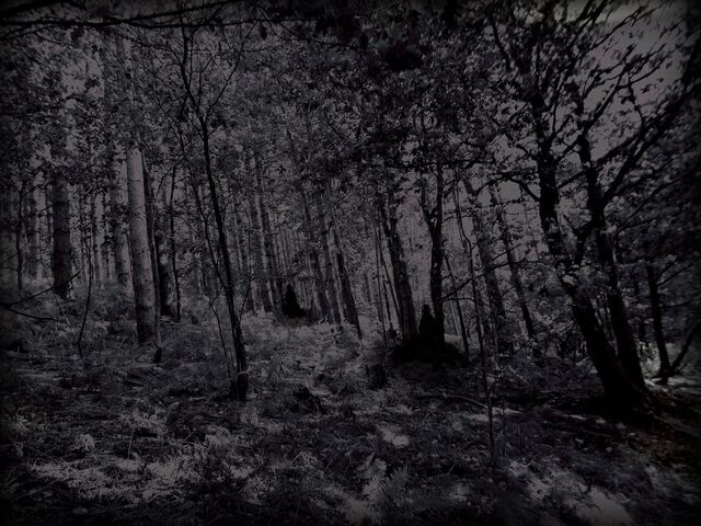 File:Unhallowed ground by kikimj-d4ai9t5.jpg