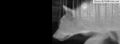 Thumbnail for version as of 06:50, July 19, 2013