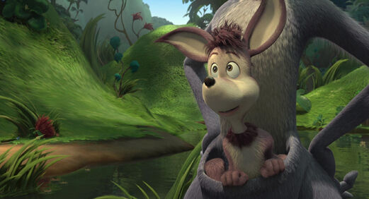 Rudy (2)