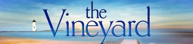 File:The vineyard 5.jpg