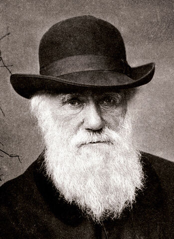 File:Charles Darwin.jpg