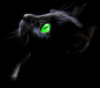 File:Nightwatcher.jpg