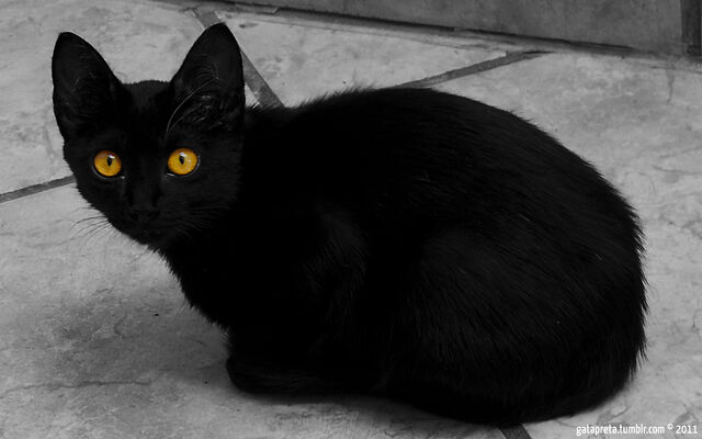 File:Artemis.jpg