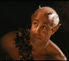 Tucci1