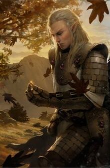 Aelar Vall