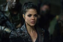 4x12 Octavia.jpg