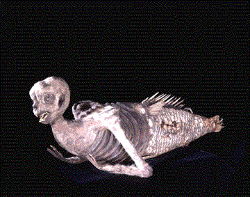 File:Mermaid1.jpg