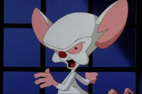 PortalBrain