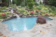 The eve's backyard