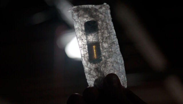 File:The americans-burkholderia mallei.jpg