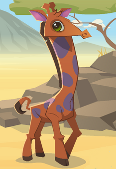 Giraffe1