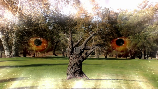 File:Vlcsnap-2012-08-21-09h58m21s248.png