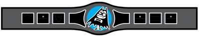 TASS1 Belt