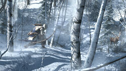 ACIII-GI (15).jpg