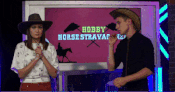 HobbyHorse