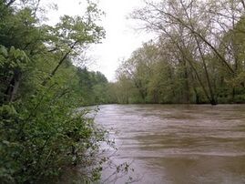 Cowpasture River scene