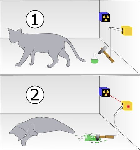 Archivo:Gato-schrodinger.jpg