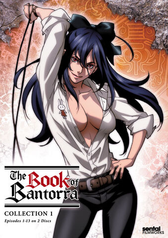 File:Book of Bantorra SF-BOB100.jpg