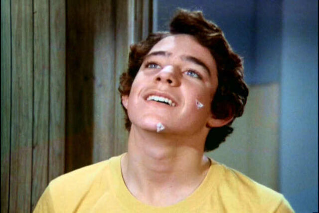 File:Greg-Brady-the-brady-bunch-10937145-720-480.jpg