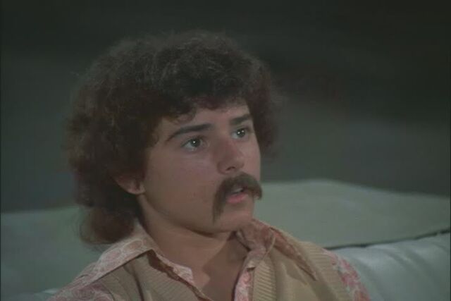 File:Peter-Brady-the-brady-bunch-12267455-720-480.jpg