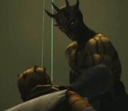 Feral2