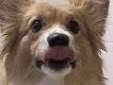 Einbarkbox