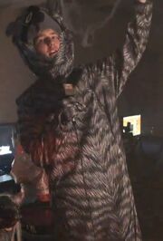 Raccy the raccoon