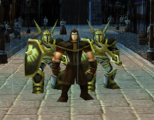 Black Hawk Guards