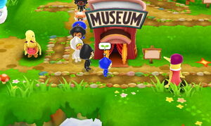 Museum