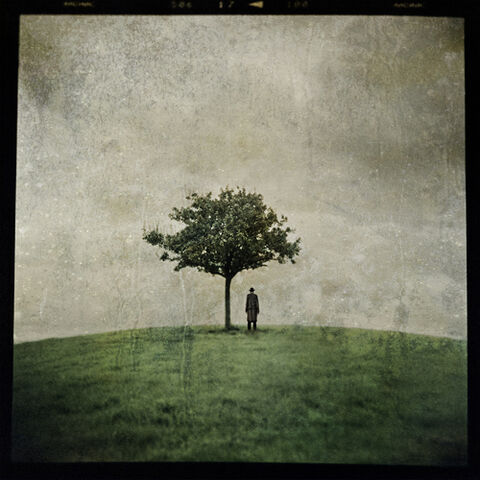 File:The Burial Tree.jpg