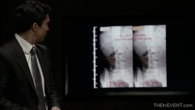 File:1.02-DNAdifference.jpg