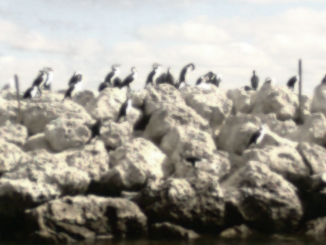 File:Convocation-mandurah.png