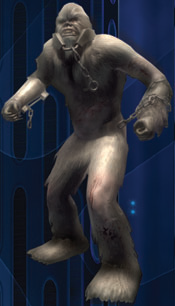 File:Wookie Slave.PNG