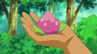 File:Pecha Berry anime.png