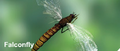 Thumbnail for version as of 14:51, September 11, 2011