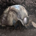 Thumbnail for version as of 14:58, September 11, 2011