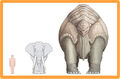 Thumbnail for version as of 14:51, September 11, 2011