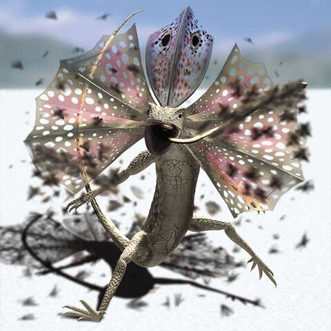 File:Cryptile-lizard-600px.jpg